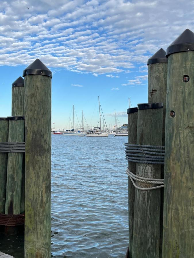 Gaia House * Annapolis