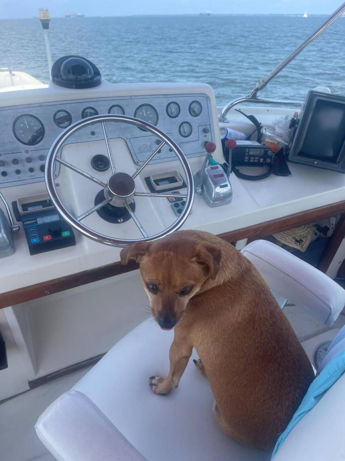 Boat Life - Overnight Botel