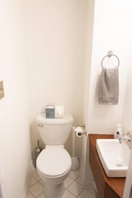 Cozy 2br W/ Parking In Downtown