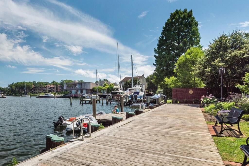 Cozy 2br W/ Parking In Downtown